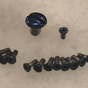 May include: A collection of 13 blue screws, including one larger screw with a slotted head and 12 smaller screws with star-shaped heads.