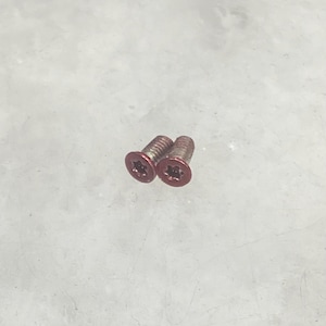 May include: Two metal screws with red heads and star-shaped recesses. The screws are silver with a reddish-brown hue and are lying on a light gray surface. The screws are likely used for construction or repair.