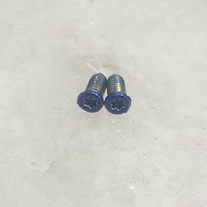 May include: Two small, metal screws with blue heads. The screws have a star-shaped indentation in the center of the head and a threaded shaft. The screws are likely used for fastening.
