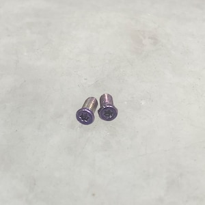 May include: Two small, purple-tinted screws with star-shaped indentations on their heads. The screws are made of metal and are set against a light-colored, slightly textured surface.