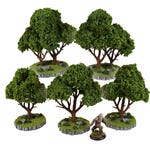 Terrain