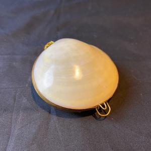 Sea Shell Brass Hinged Trinket / Jewelry Box - Sea Shell Pill Box - Vintage