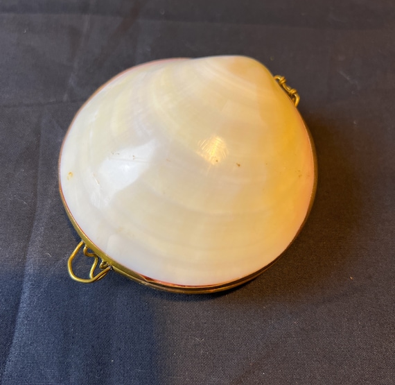 Sea Shell Brass Hinged Trinket / Jewelry Box - Se… - image 3