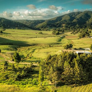 Totika Health Bee Farm