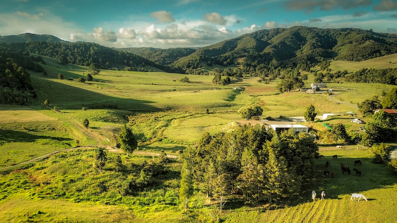 Totika Health Bee Farm