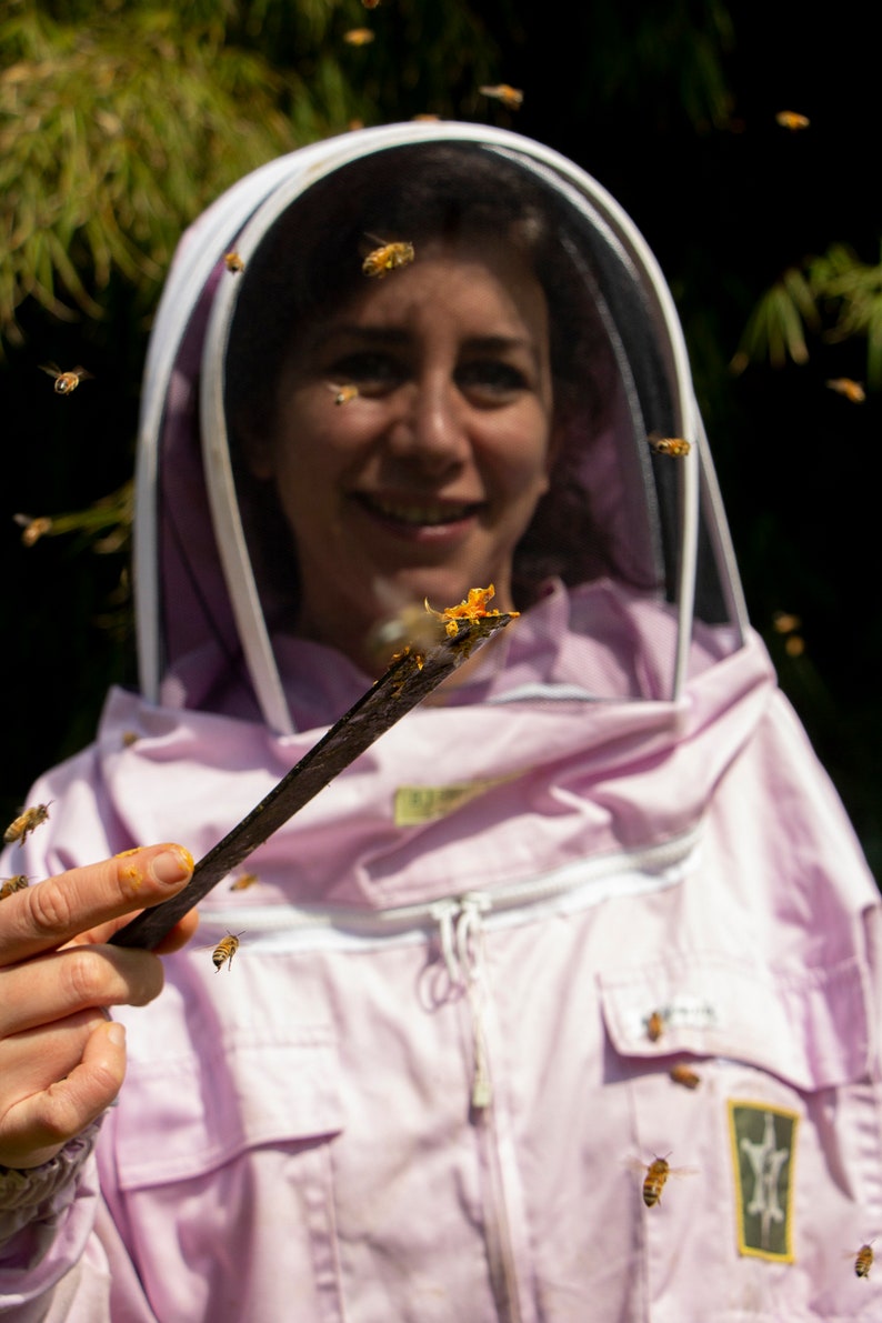 Sarashowing beepropolis collected from the hive