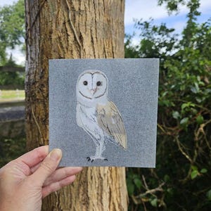 May include: A square card featuring a detailed illustration of a barn owl with a white heart-shaped face, dark eyes, and light brown and white feathers. The owl is centred on a solid, textured grey background, showcasing a realistic bird design.