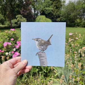 May include: A square greetings card featuring a detailed illustration of a small brown wren perched on a grey tree branch against a solid light blue background. The bird has intricate feather patterns and a short, upright tail.