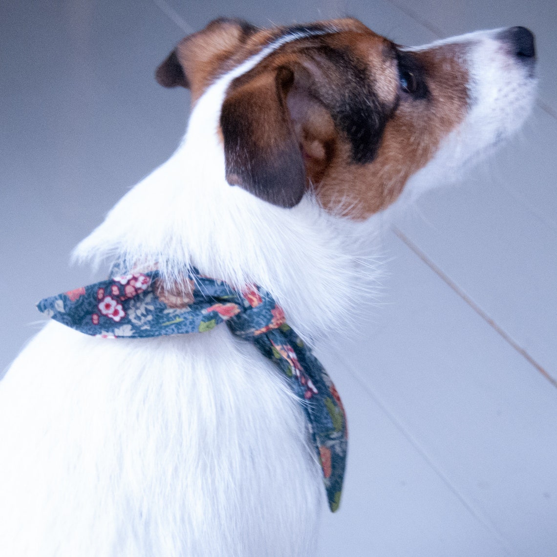 Grau Floral Hund Neckerchief Neckerchief für Hunde Krawatte Etsy