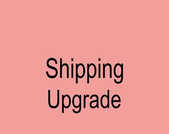 Shipping Upgrade to Express shipping Ems Custom Made Size