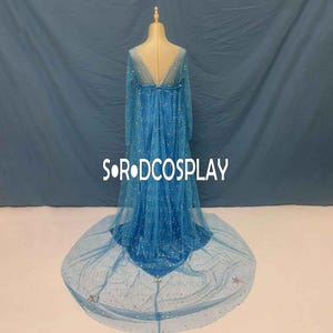 Elsa Sequin Dress Frozen Elsa Princess Dress VS Cape Cosplay Costume Custom Made Size