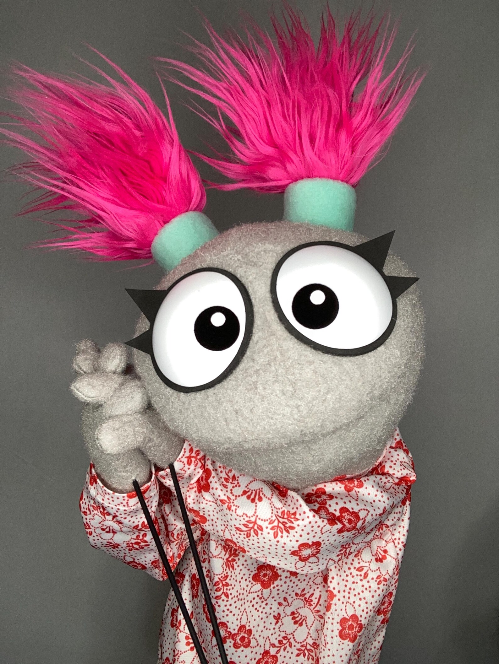 Professional Practice Puppet - Etsy Canada