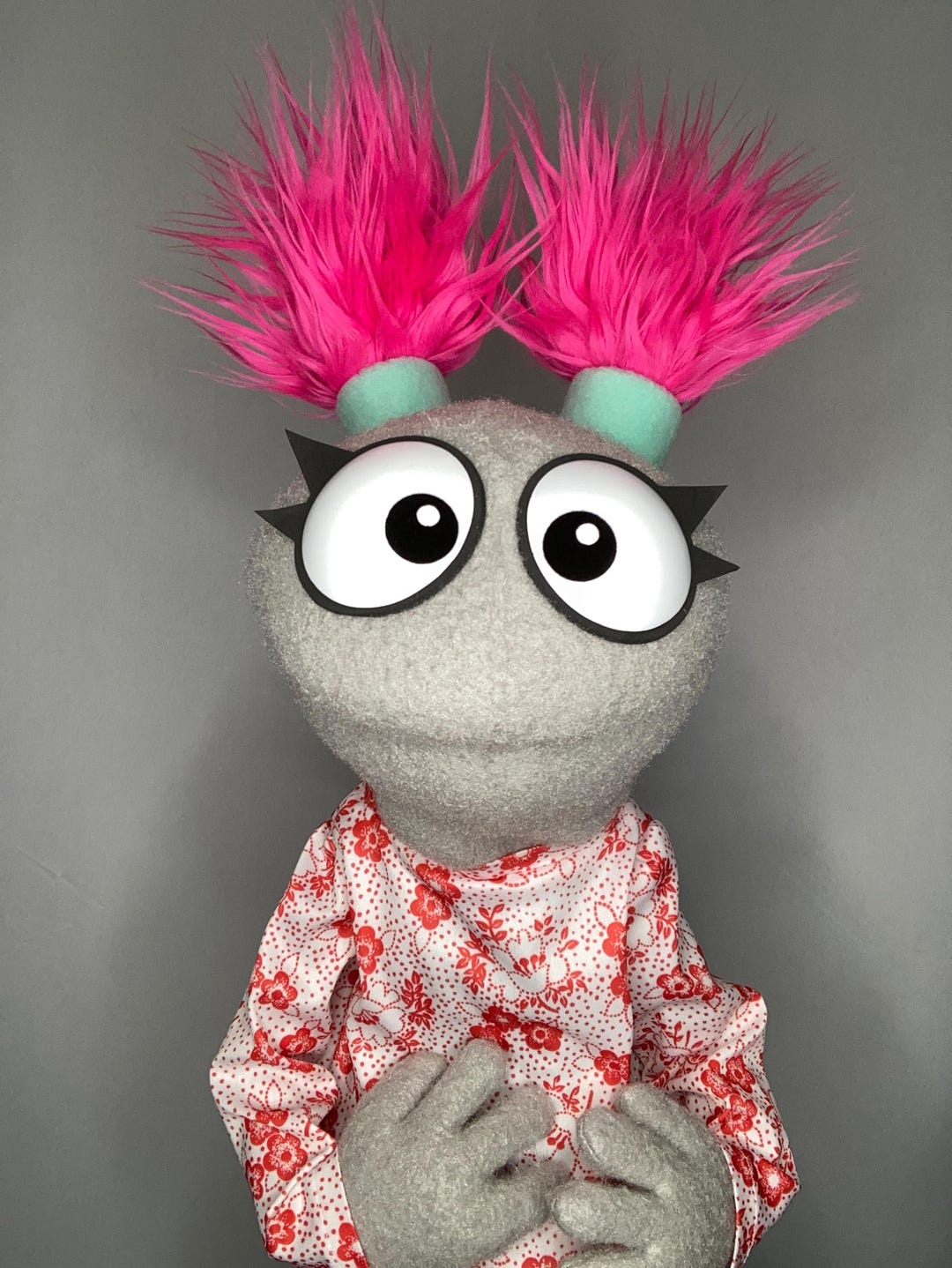 Professional Practice Puppet - Etsy Canada