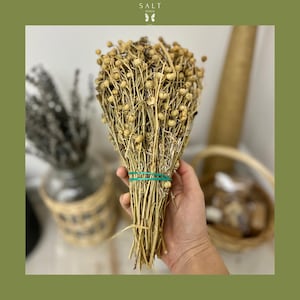 Pacchetto di incenso Peganum Smudge, purificazione spirituale, purificazione energetica, incenso rituale, regalo spirituale fatto a mano, incenso Peganum, Harmala