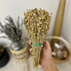 Peganum Incense, Peganum Smudge , Peganum Smudge Incense, Smudge Gift Box, Spiritual Gift, Natural Energy Cleanser