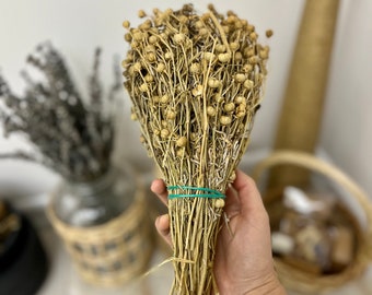 Peganum Incense