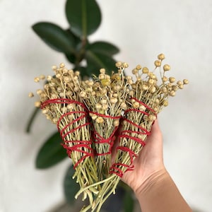 Incenso Peganum, Smudge Peganum, Incenso Smudge Peganum, Confezione regalo Smudge, Regalo spirituale, Detergente energetico naturale, Regalo