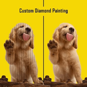 Cuadros Personalizados de Pintura Diamante / Custom Diamond Painting Kits 