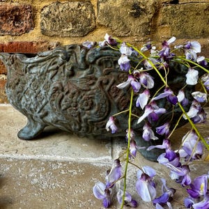 Antique French Cast Iron Garden Planter | Early 20th Century Planter or Centrepiece Display | Jardiniere | Rustic Vintage Decor  Gardenalia
