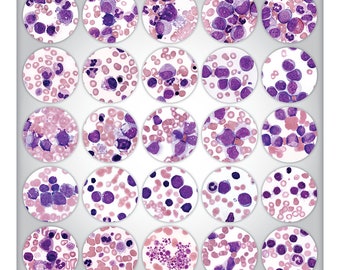 Hematology Comp I