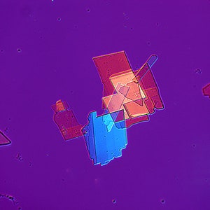 Cholesterol Crystals, Red Compensator