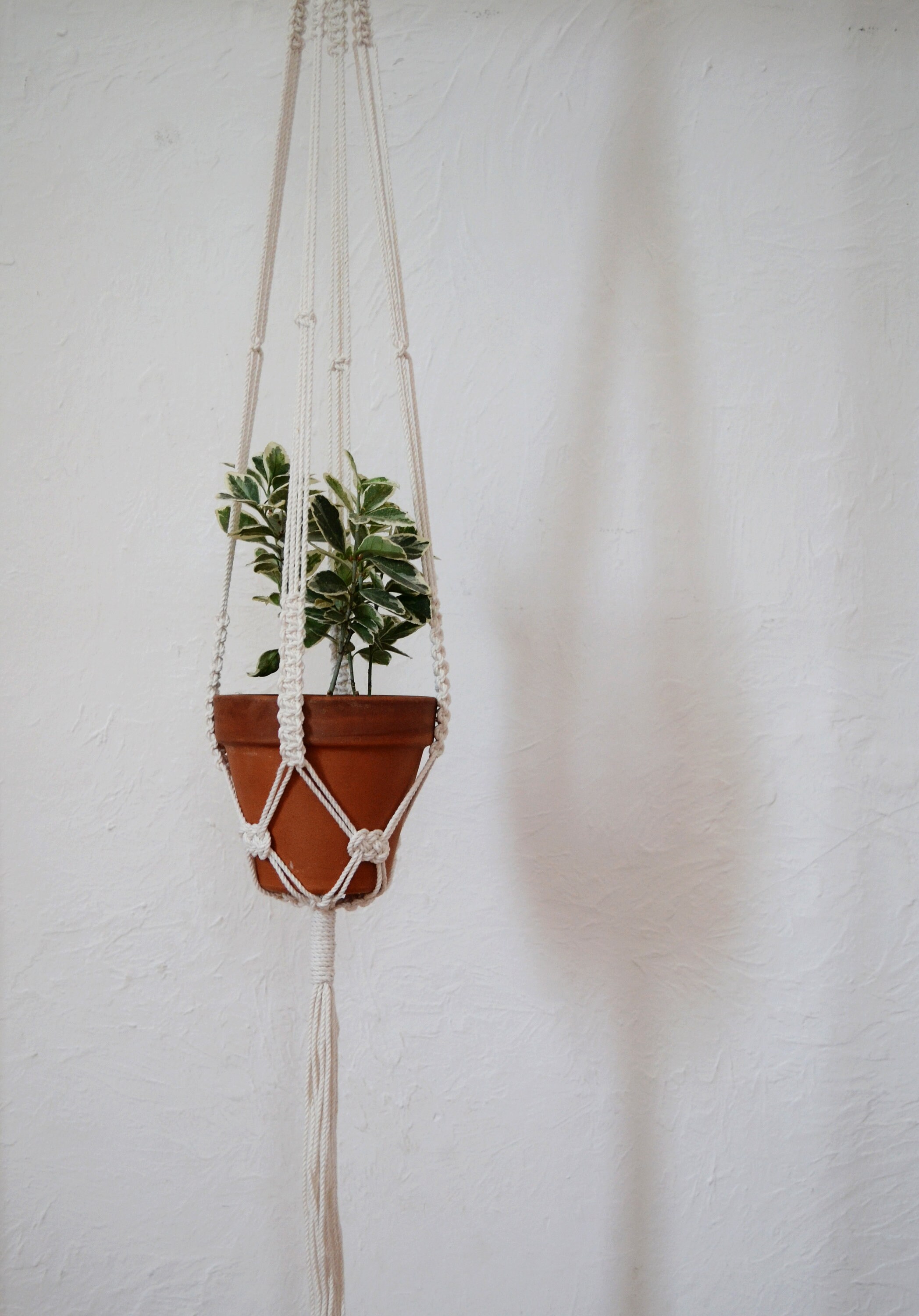 Pure // Suspension en Macramé _ Porte-Plante Coton