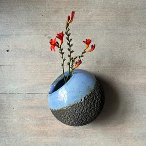 Peut inclure: Un vase mural en céramique sphérique présentant une partie supérieure bleu clair lisse et brillante et une partie inférieure sombre, texturée et cratérisée. Le vase contient un petit brin de fleurs d'oranger crocosmia.