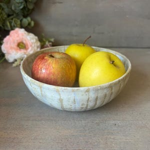 Peut inclure: Un bol en céramique rond avec un vernis de couleur crème et des motifs de gouttes brunes verticales. À l'intérieur du bol se trouvent trois pommes fraîches : une pomme rouge et jaune à gauche et deux pommes jaune vif à droite.