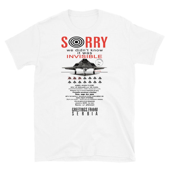 Sorry We Didn't Know It Was Invisible - Historical, F-117A