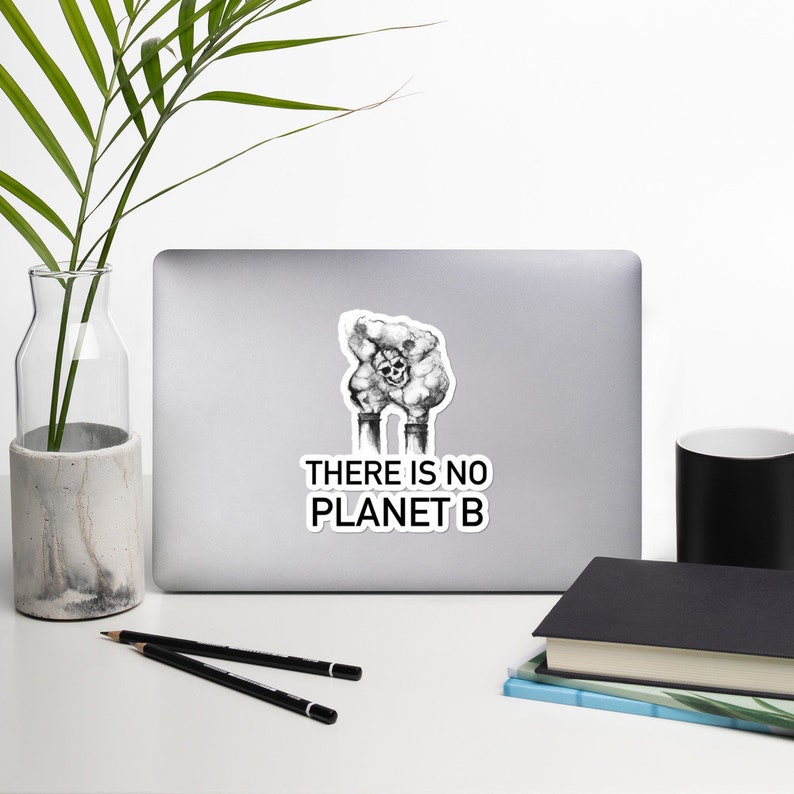 May include: A black and white sticker with a skull and crossbones in a cloud of smoke coming from two factory chimneys. The text "THERE IS NO PLANET B" is below the image.