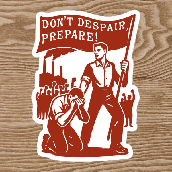 Don't Despair, Prepare - Anti-Capitalist, Socialist, Protest Sticker