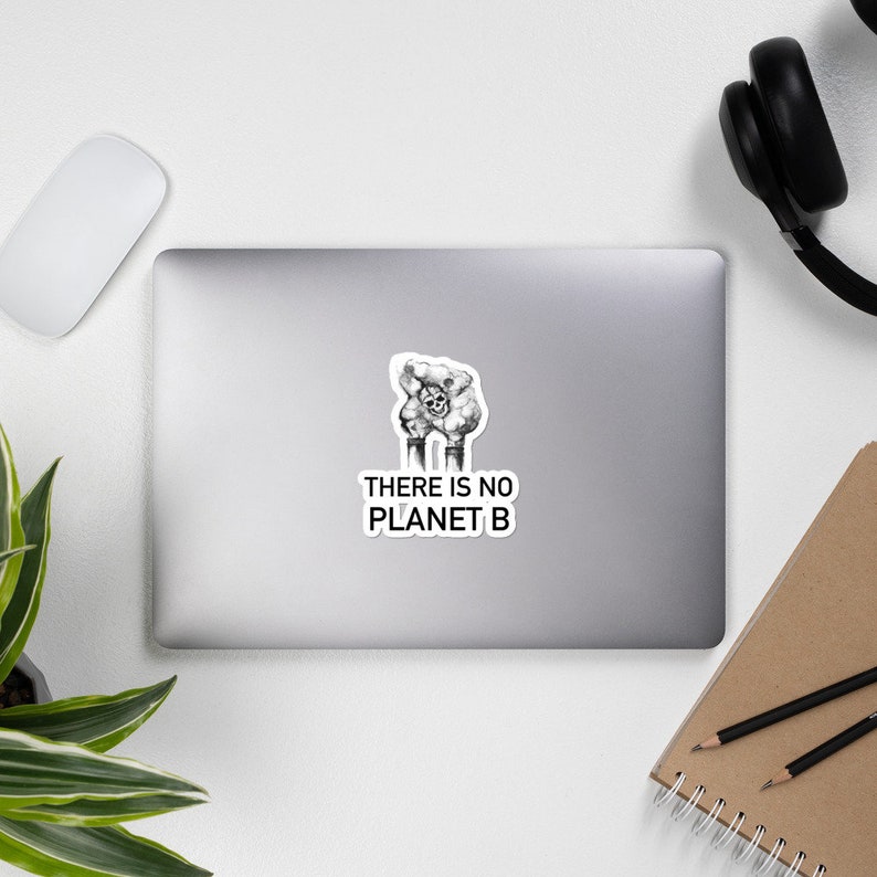 May include: Black and white illustration of a skull with smoke coming out of its eyes, with two smokestacks below. The text "THERE IS NO PLANET B" is below the illustration.
