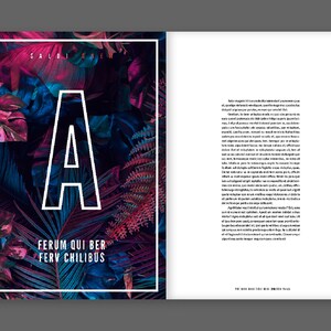 Modello di layout per rivista / Rivista digitale / InDesign / Stampa ...