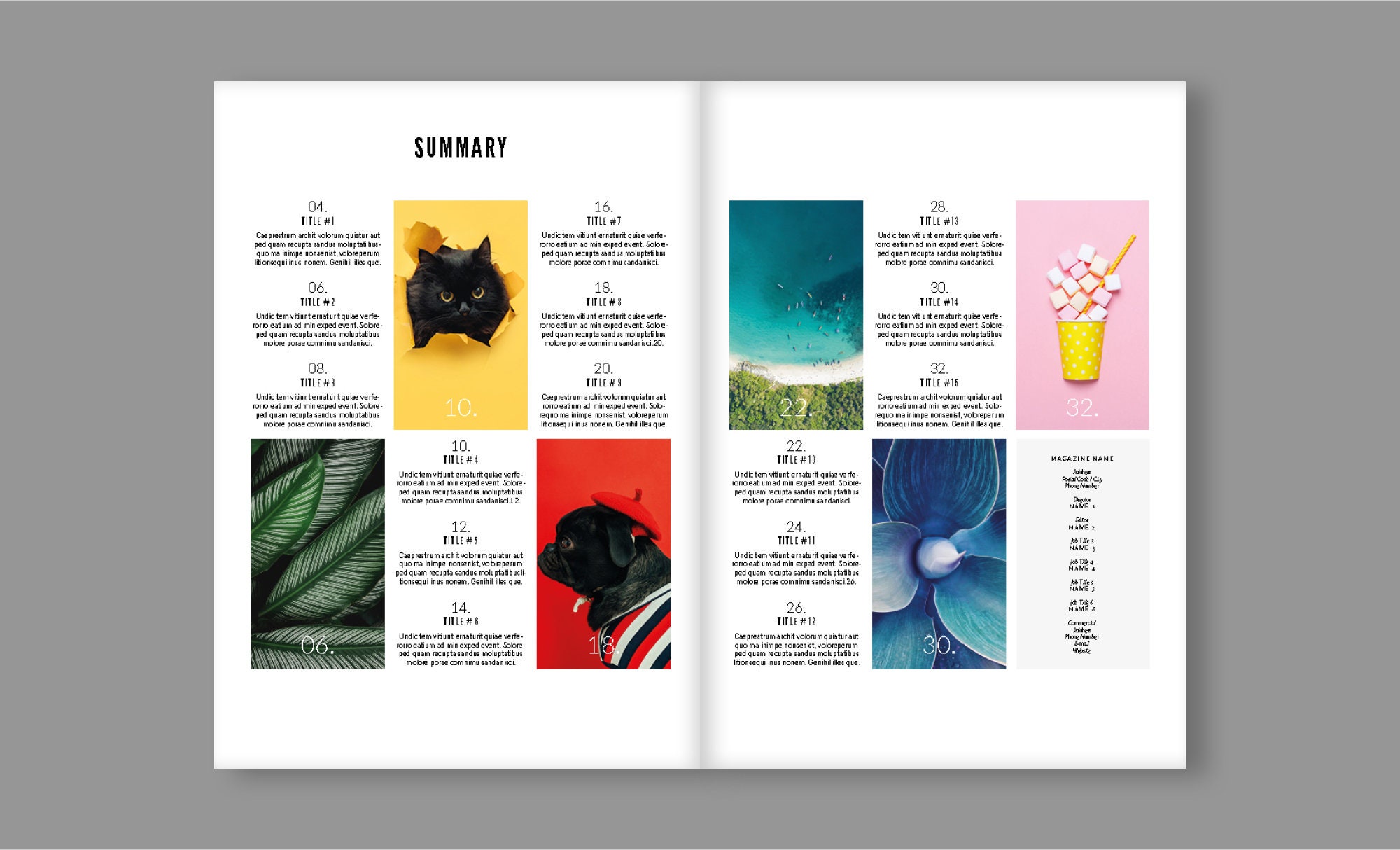 Plantilla de diseño de revista / Revista digital / InDesign / Impresión ...