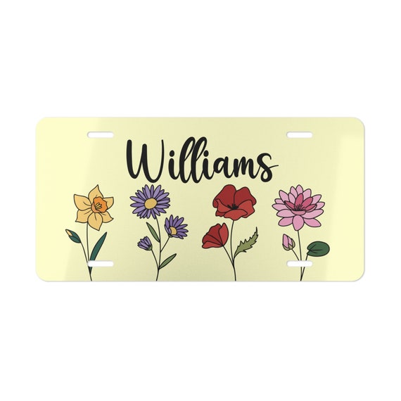White Dove In Front Of The Earth Prints Car Aluminum Decorative License