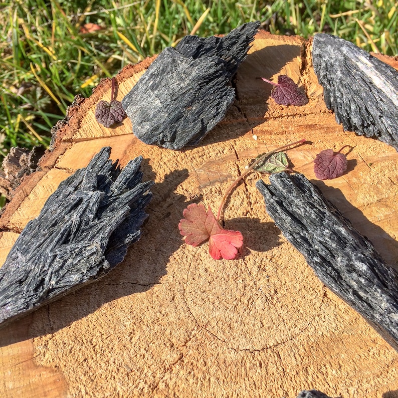 Pu&ograve; includere: Quattro pezzi di cristalli minerali naturali, grezzi e ruvidi, di colore nero e irregolari, su una superficie di legno. I cristalli sono disposti in cerchio con alcune foglie rosse e verdi sparse intorno.