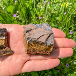 May include: A rough, brown and gold tiger's eye crystal with a natural, raw finish. The crystal is sitting on a hand.