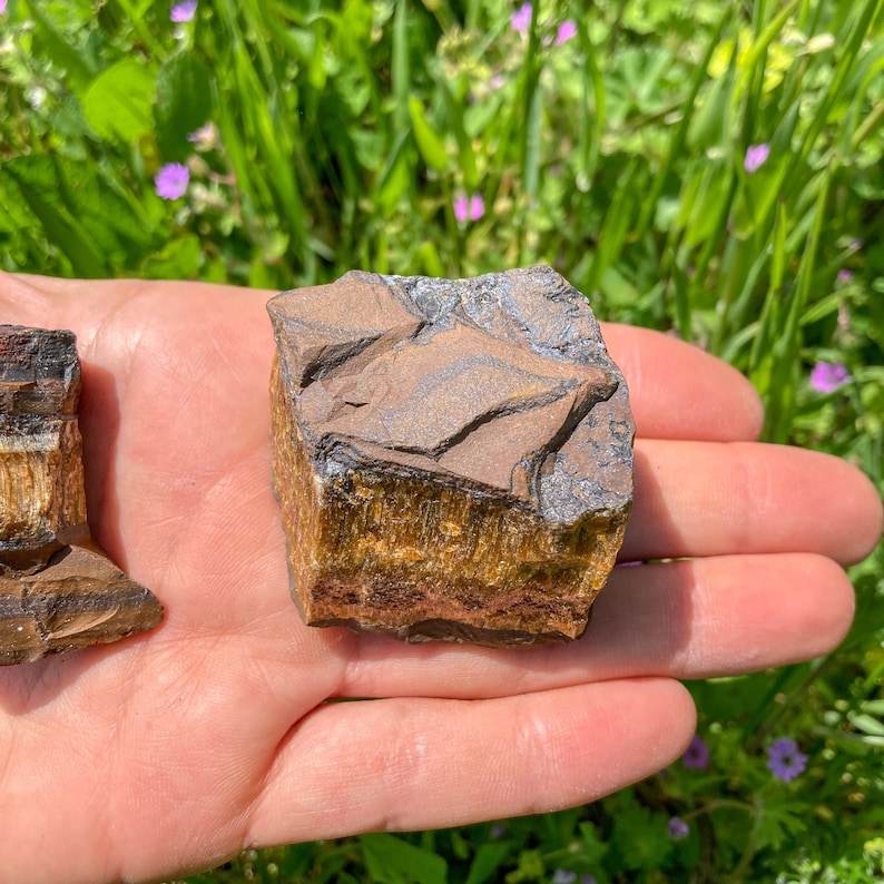 May include: A rough, brown and gold tiger's eye crystal with a natural, raw finish. The crystal is sitting on a hand.