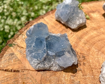 May include: Close-up of several blue celestite crystal clusters on a wooden surface. The crystals have a light blue hue and a rough, textured appearance. The background is blurred, with hints of green foliage.