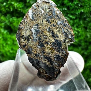May include: A pallasite meteorite specimen featuring a textured, metallic iron-nickel matrix interspersed with translucent, olive-green olivine crystals. The surface displays a mix of dark, oxidized iron and bright, reflective metallic patches.