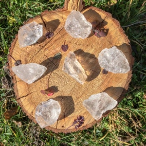 May include: Seven clear quartz crystals of various sizes and shapes are arranged on a wooden surface. The crystals are translucent and have a natural, rough texture.