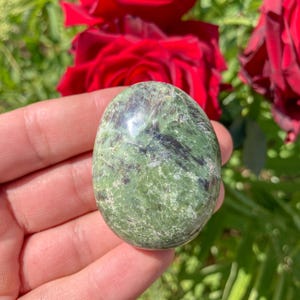 May include: A polished, oval-shaped green stone with dark green and black veining. The stone is held in a hand, with red roses in the background. The stone's surface is smooth and reflective.