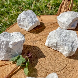 K&ouml;nnte beinhalten: F&uuml;nf wei&szlig;e, grob behauene, nat&uuml;rliche, wei&szlig;e Marmorsteine auf einer Holzoberfl&auml;che. Die Steine sind in verschiedenen Gr&ouml;&szlig;en und Formen.