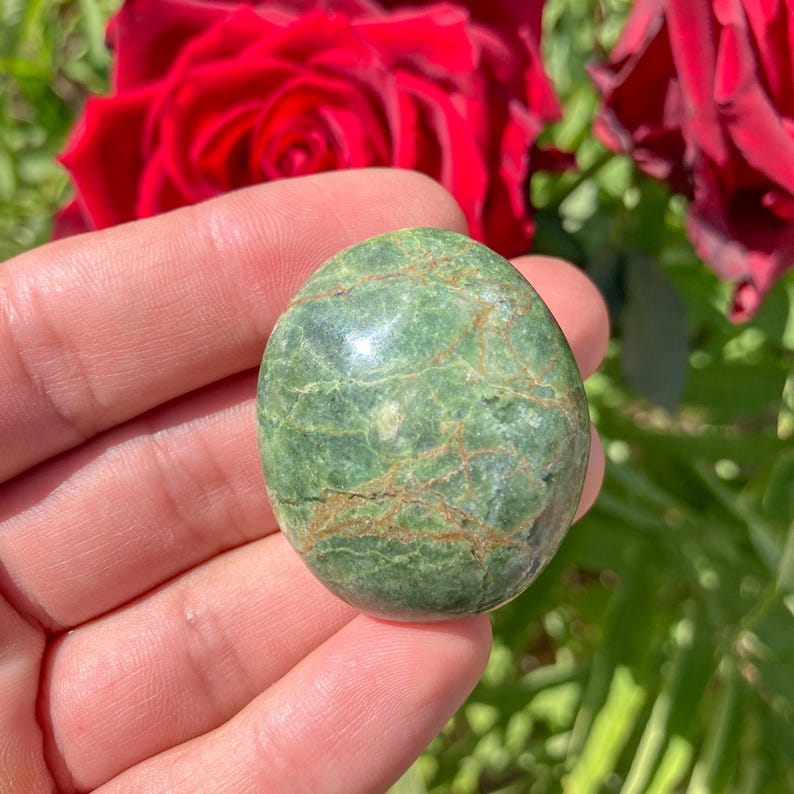 May include: A polished, oval-shaped green stone with brown veining. The stone is held in a hand, with red roses in the background. The stone's surface is smooth and reflective, showcasing natural patterns.