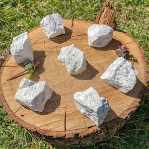 K&ouml;nnte beinhalten: Sieben wei&szlig;e Selenitkristalle, die in einem Kreis auf einem Holzscheit angeordnet sind. Die Kristalle sind in verschiedenen Gr&ouml;&szlig;en und Formen, mit einer nat&uuml;rlichen, rauen Textur.