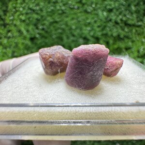 Könnte beinhalten: Drei rohe, ungeschliffene Rubin-Edelsteine in einem transparenten Kunststoffbehälter. Die Rubine haben eine tiefrot-violette Farbe mit einer strukturierten Oberfläche. Der Hintergrund ist ein verschwommenes Grün.