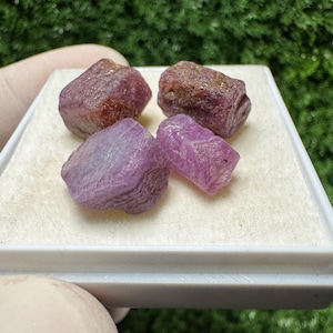 Peut inclure: Quatre pierres précieuses brutes, non taillées, dans des tons de rose et de violet, sont présentées sur un plateau blanc. Les pierres ont un aspect naturel et texturé, avec des formes et des tailles variables. L'arrière-plan est vert flou, suggérant un cadre naturel.