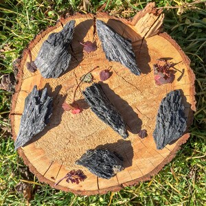 Pu&ograve; includere: Sei cristalli di cianite neri, grezzi e non lucidati, su una superficie di legno. I cristalli sono di varie dimensioni e forme, alcuni hanno una punta appuntita e altri una superficie piatta.