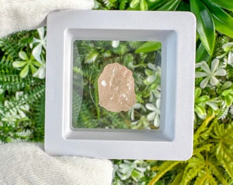 May include: A peach-colored, raw gemstone is displayed within a white, square, shadow box. The gemstone has a rough, natural texture. The background features a variety of green plants and foliage, creating a natural aesthetic.