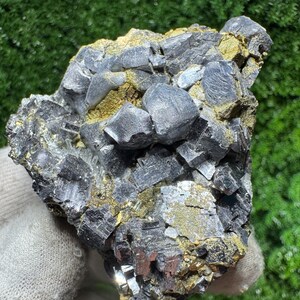 May include: A close-up of a mineral specimen featuring a cluster of gray, cubic crystals with a metallic luster. The crystals are interspersed with patches of golden-yellow material, creating a striking contrast. The overall texture is rough and irregular.